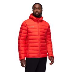 Rückansicht von Mammut Waymarker Hooded Daunenjacke Herren mammut red