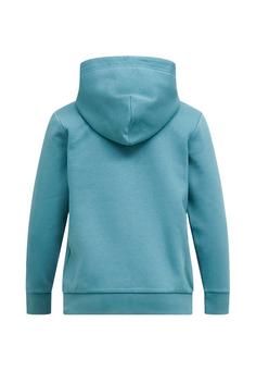 Rückansicht von Peak Performance Sweatshirt TUERKIS