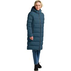 Rückansicht von Jack Wolfskin FROZEN PALACE COAT W Daunenmantel Damen aluminium blue