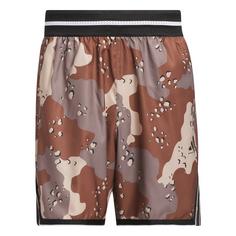 adidas adidas Crazy Lite AOP Short Funktionsshorts Herren Trace Brown