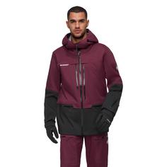 Rückansicht von Mammut Haldigrat Hooded Hardshelljacke Herren vin-black