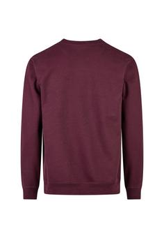 Rückansicht von Cleptomanicx Ligull Sweatshirt Herren Winetasting