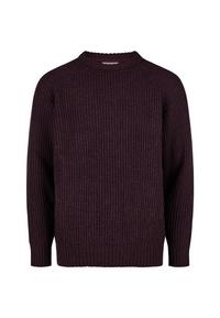 Cleptomanicx Big Ben Strickpullover Herren - Winetasting