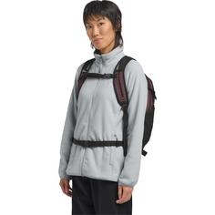 Rückansicht von Jack Wolfskin VELOCITY 20 Wanderrucksack amaranth