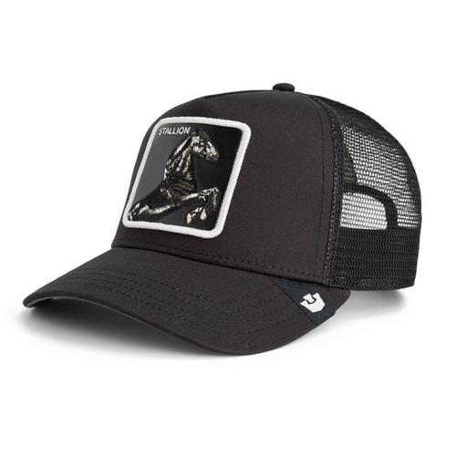 Rückansicht von GOORIN BROS. Cap Cap Stallion Trucker