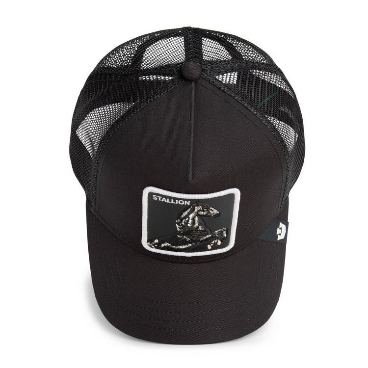 GOORIN BROS. GOORIN BROS. Cap Cap - Stallion Trucker - 3 | SportScheck