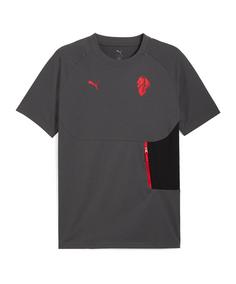 PUMA AC Mailand Pumatech Pocket T-Shirt Fanshirt Herren grau
