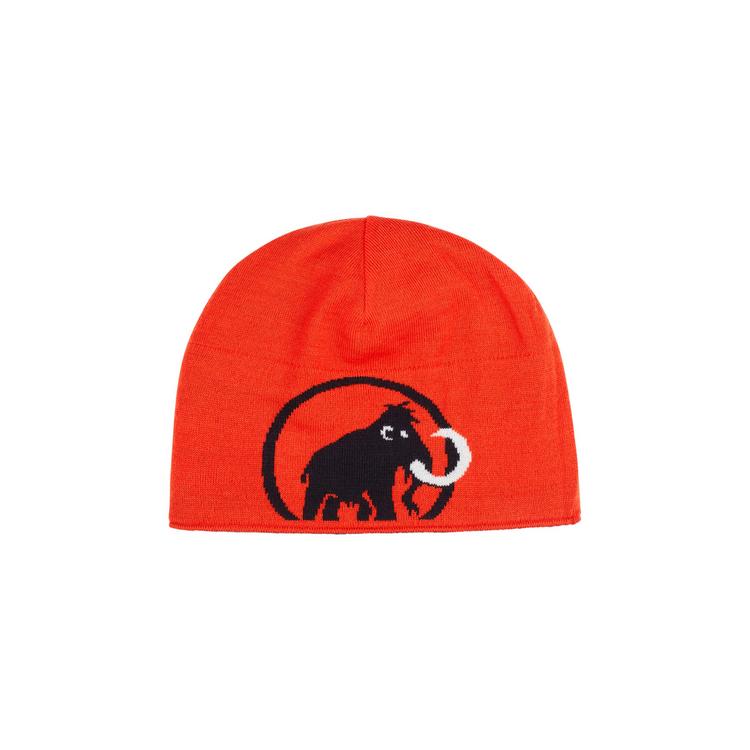 Mammut Mammut Logo Beanie - black - 0 | SportScheck