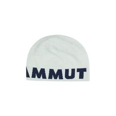 Mammut Logo Beanie silver sage-marine