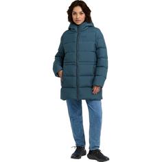 Rückansicht von Jack Wolfskin FROZEN PALACE LONG JKT W RDS Daunenjacke Damen aluminium blue