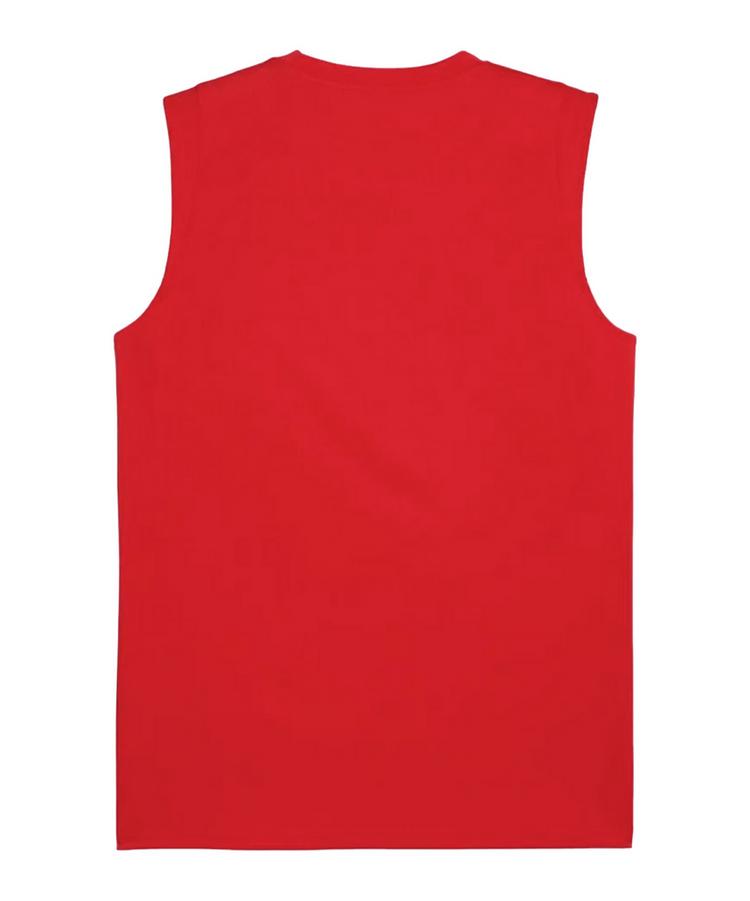 PUMA PUMA teamCUP Training Tanktop Trikot Herren - rot - 0 | SportScheck