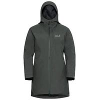 Jack Wolfskin ICECAPE 2L DOWN INS JKT W RDS Daunenjacke Damen - slate green