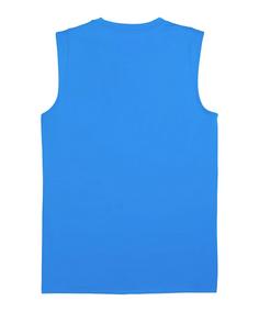 Rückansicht von PUMA teamCUP Training Tanktop Fußballtrikot Herren blau