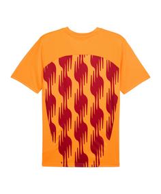 Rückansicht von PUMA Galatasaray Istanbul T-Shirt Fanshirt orangerot