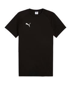 PUMA teamEVOSTRIPE T-Shirt Funktionsshirt Herren schwarz