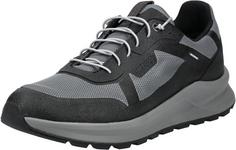 Tenhaag Sneaker Sneaker Herren Grau