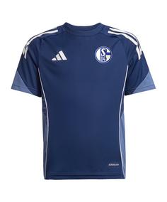 adidas FC Schalke 04 Trainingsshirt Kids Fanshirt Kinder blaublau