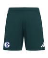 adidas FC Schalke 04 Short Fu&szlig;ballshorts - gruengruen
