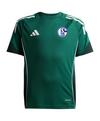 adidas FC Schalke 04 Trainingsshirt Kids T-Shirt Kinder - gruengruen