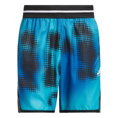 adidas adidas Crazy Lite AOP Short Funktionsshorts Herren Lucid Cyan
