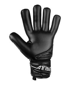 Rückansicht von Reusch Attrakt Infinity NC TW-Handschuhe 2025 Torwarthandschuhe schwarz