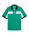 PUMA teamCLASSIC Match Trikot Trikot Herren - gruenweiss
