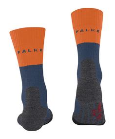 Rückansicht von Falke TK2 Explore Laufsocken Herren enzian (6570)