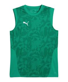 PUMA teamCUP Training Tanktop Fußballtrikot Herren gruensilbergruen