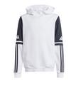 adidas Squadra 25 Hoody Kids Funktionssweatshirt Kinder - weiss