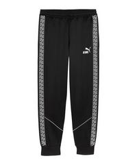 PUMA teamKING Anthem Hose Trainingshose Herren - schwarzweiss