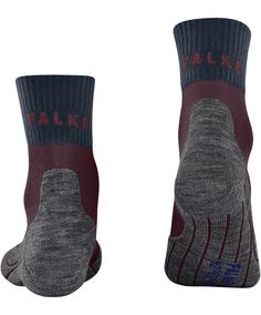Rückansicht von Falke TK2 Explore Cool Short Laufsocken Herren barolo (8526)