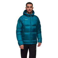 Rückansicht von Mammut Glacier Glow Daunenjacke Herren deep teal