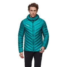 Rückansicht von Mammut Broad Peak IN Hooded Daunenjacke Herren deep teal-black