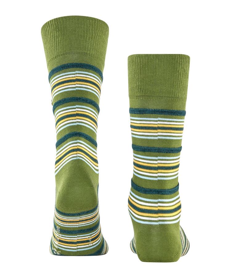 Burlington Burlington Funky Stripe Socken Herren - fir green (7656) - 0 | SportScheck