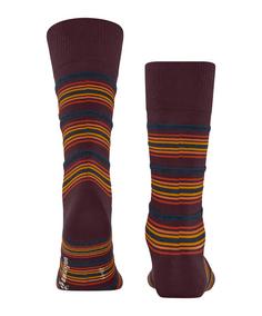 Rückansicht von Burlington Funky Stripe Freizeitsocken Herren claret (8375)