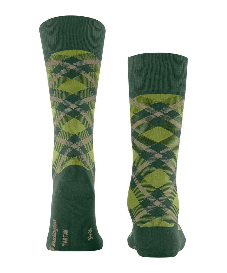 Burlington Burlington Tartan SO Socken Herren - eucalyptus (7502) - 0 | SportScheck