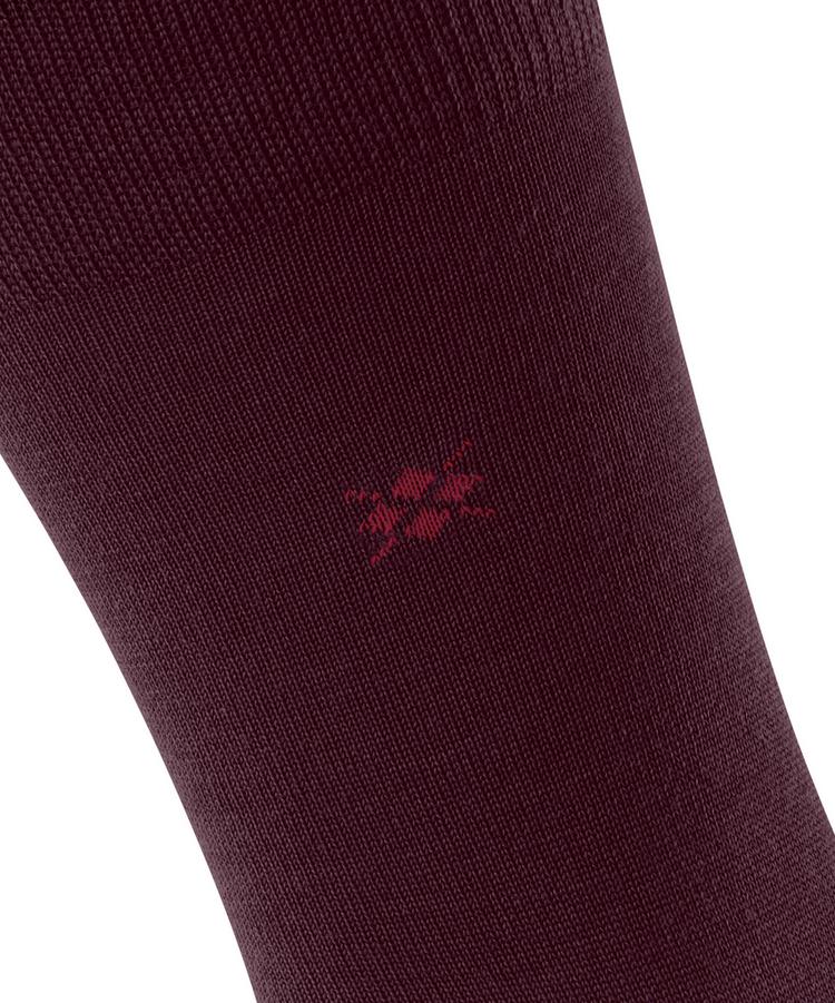 Burlington Burlington Leeds SO Socken Herren - claret (8435) - 1 | SportScheck
