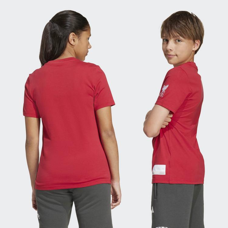 adidas adidas Liverpool FC US Pack Trikot T-Shirt Kinder - Strawberry Red - 4 | SportScheck