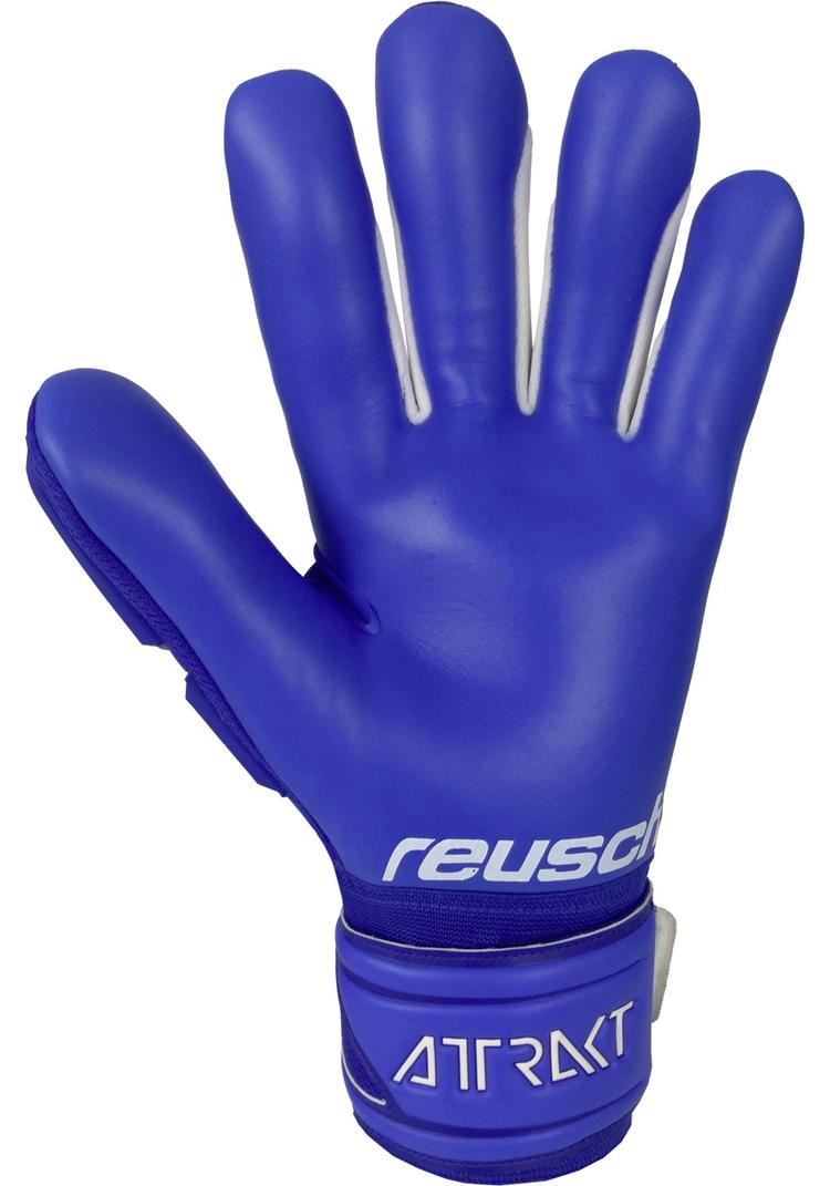 Reusch Reusch Attrakt Freegel Silver Torwarthandschuhe - deep blue / deep blue - 1 | SportScheck
