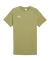 PUMA teamEVOSTRIPE T-Shirt Funktionsshirt Herren - gruen