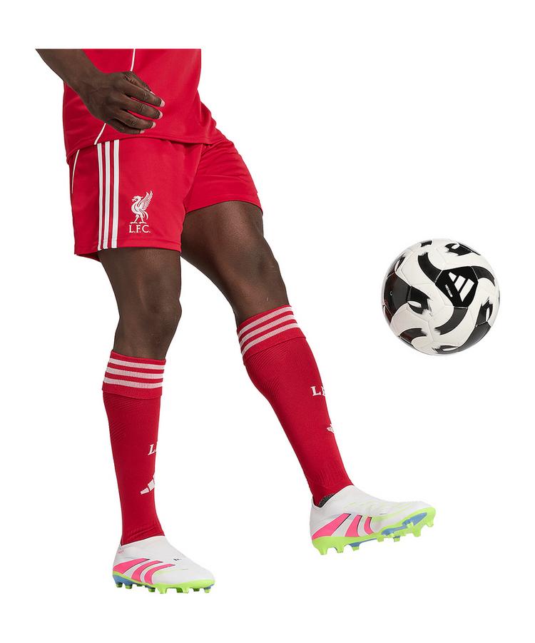 adidas adidas FC Liverpool Short Home 2025/2026 Fu&szlig;ballshorts Herren - rot - 2 | SportScheck