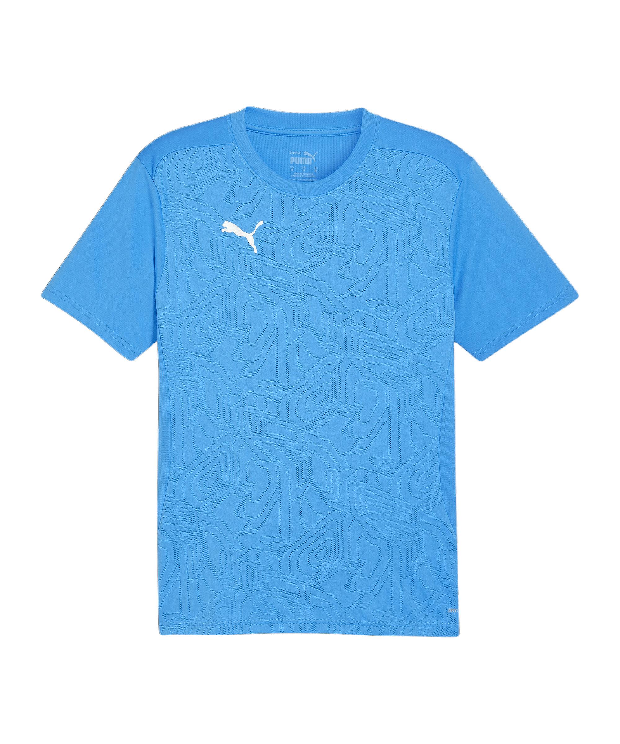 PUMA teamFINAL Trikot Trikot Herren - blausilber