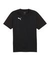 PUMA teamFINAL Trikot Trikot Herren - schwarzsilber