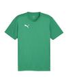 PUMA teamFINAL Trikot Trikot Herren - gruensilber