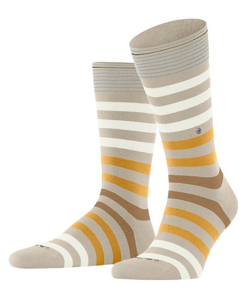 Burlington Blackpool SO Socken Herren