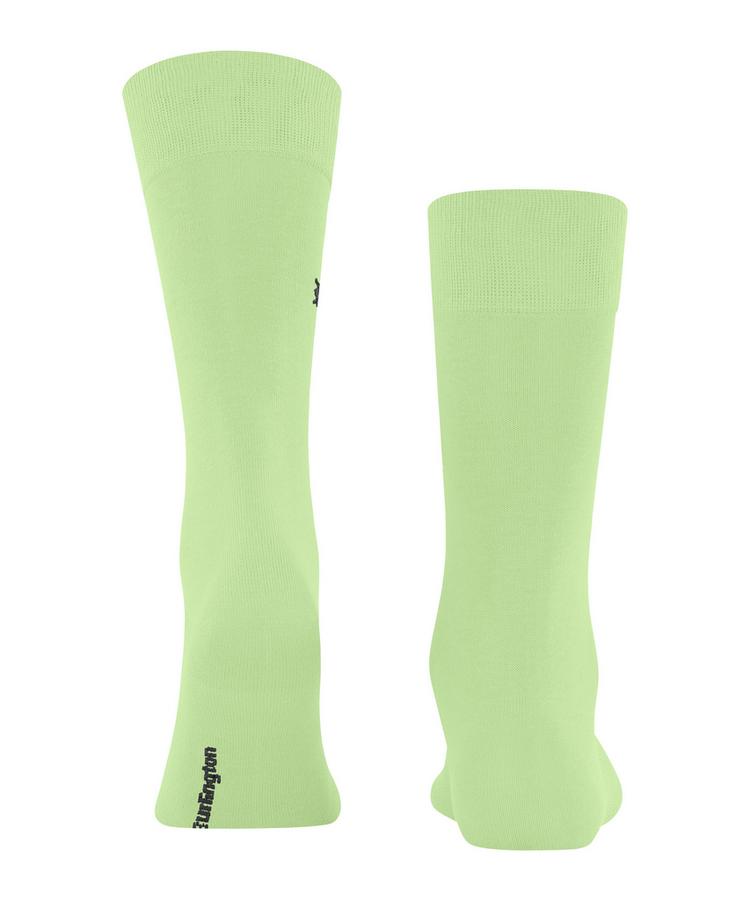 Burlington Burlington Dublin SO Socken Herren - jade (7434) - 0 | SportScheck