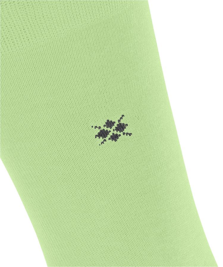 Burlington Burlington Dublin SO Socken Herren - jade (7434) - 1 | SportScheck