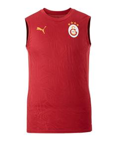PUMA Galatasaray Istanbul Training SL T-Shirt Fanshirt Herren rot