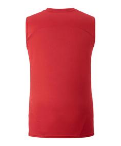 Rückansicht von PUMA Galatasaray Istanbul Training SL T-Shirt Fanshirt Herren rot