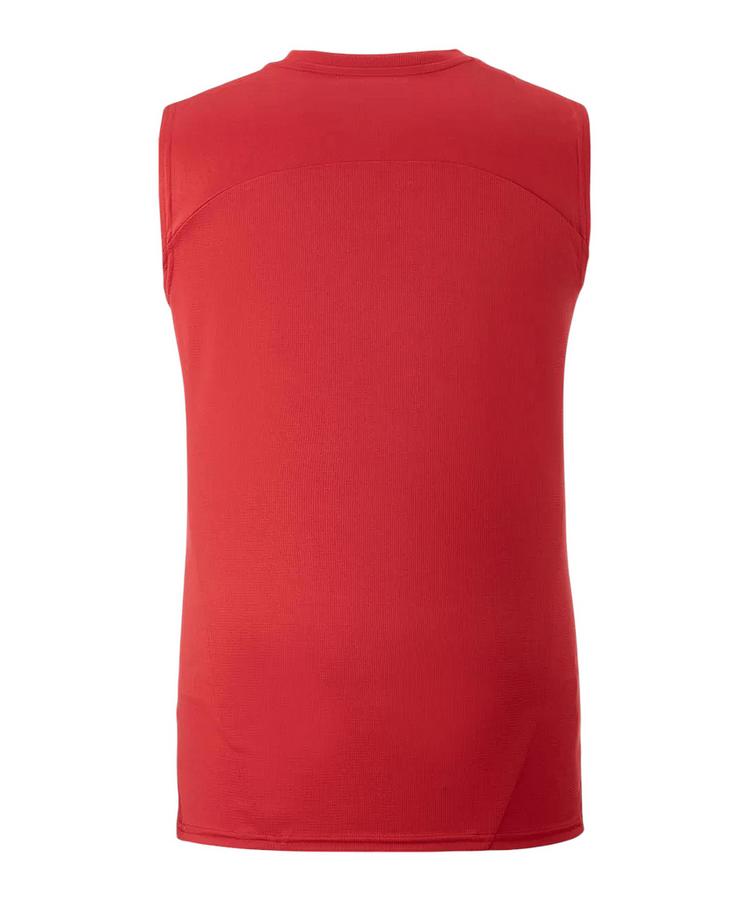 PUMA PUMA Galatasaray Istanbul Training SL T-Shirt T-Shirt Herren - rot - 0 | SportScheck